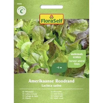 Semeno Salát listový Amerikaanse Roodrand FloraSelf
