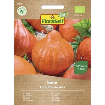 Semeno Dýně BIO Solor F1 FloraSelf Bio