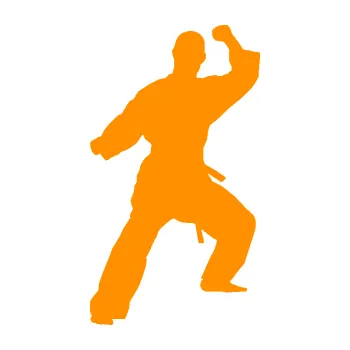 Polep vozidla Karate 014 levá (06 - oranžová) SAMOLEPKA NA AUTO, NÁLEPKA, FÓLIE, POLEP, TUNING, VLASTNÍ TEXT, TISK, AUTOSAMOLEPKY.cz, POLEPY, OBRÁZEK, LOGO, 3D STICKERS