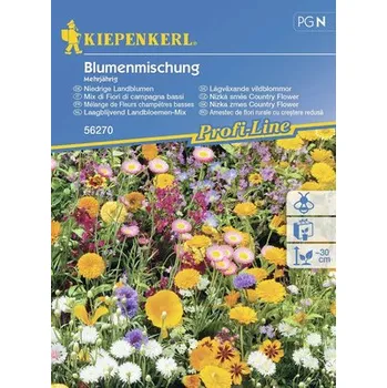 Zahrada Květinová směs Květinový koberec Kiepenkerl