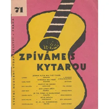 Vánoční dekorace Zpíváme s kytarou 71 - Hvězda na vrbě