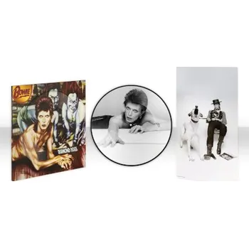 Zahraniční hudba David Bowie - Diamond Dogs (LP, 5054197816413)