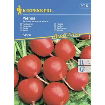 Semeno Ředkvičky Vienna F1 Kiepenkerl
