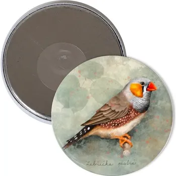 Magnet s potiskem Zebřička pestrá - kreslená