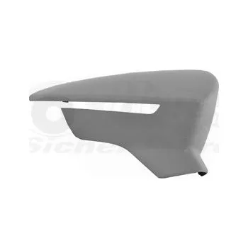 Auto zrcátko Kryt, vnější zrcátko VAN WEZEL 4946844