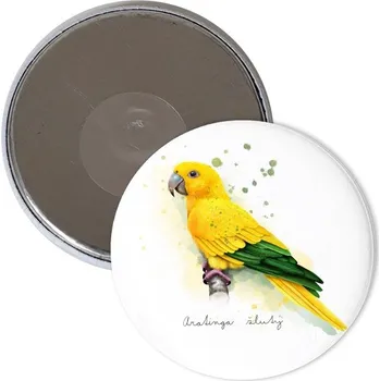 Dekorativní magnet Magnet s potiskem Aratinga žlutý