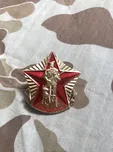 Odznak - Vzorný psovod