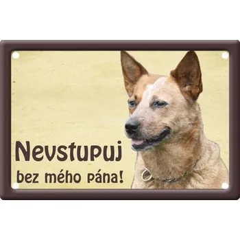 Plechová cedule Plechová psí cedule, Australský honácký pes, Nevtupuj bez mého pána!