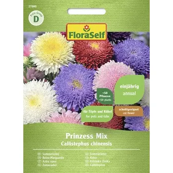 Semeno Astra čínská mix Princezna FloraSelf