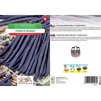 Semeno Fazol keříčkový Purple Queen 250g ZAHRADNICKÉ BALENÍ