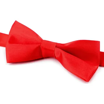 Malý saténový motýlek