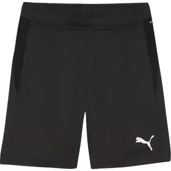 Pánské fotbalové šortky Puma teamGOAL Training černé