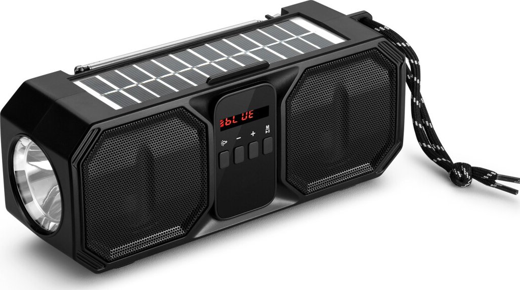 Denver BTG-616 Altoparlante Bluetooth Portatile – 2x100W, LED, IPX4, Batteria 2400 MAh – Nero, Con USB, MicroSD, FM E TWS