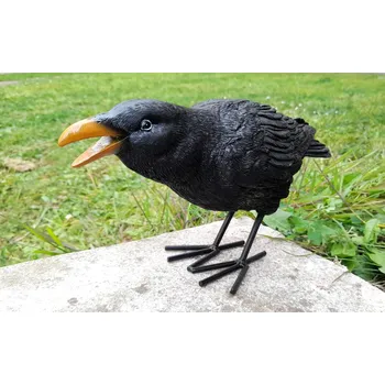 Zahradní dekorace Prodex Import Vrána figura do zahrady