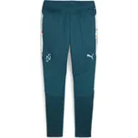 Puma Tréninkové kalhoty NEYMAR Creativity ocean velikost: XL