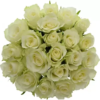 umělá květina Kytice 21 bílých růží ATHENA 50cm
