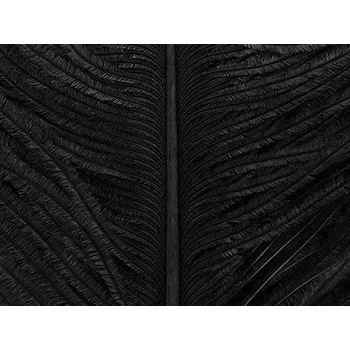 Pštrosí peří Wapsi Ostrich Herl Black