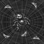 Šátek bavlna pavouk