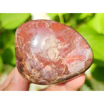 Přírodní kámen Zkamenělé dřevo hladký kámen z Madagaskaru 126g