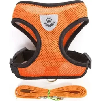 obojek pro kočku Postroj pro malé psy a kočky s reflexním proužkem + vodítko Barva: Zlatá, Velikost: S