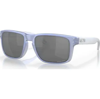 Sluneční brýle Brýle Oakley Holbrook Prizm OO9102-X8