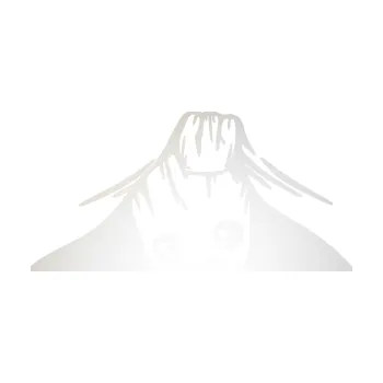 Samolepicí dekorace na vozidlo Kuk 007 levá Groot vykukuje (82 - odrazková reflexní bílá) SAMOLEPKA NA AUTO, NÁLEPKA, FÓLIE, POLEP, TUNING, VLASTNÍ TEXT, TISK, AUTOSAMOLEPKY.cz, POLEPY, OBRÁZEK, LOGO, 3D STICKERS