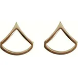 ROTHCO Odznak hodnosti PRIVATE FIRST CLASS POLISHED ZLATÝ