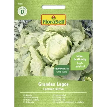 Semeno Salát ledový Grandes Lagos FloraSelf