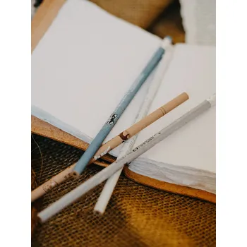 Grafitová tužka Aihao tužka s gumou pejsek Varianta: béžová