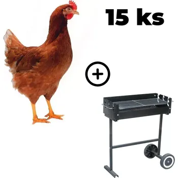 Hnědá kuřice Lohman 15 ks + zahradní gril TEXAS ZDARMA