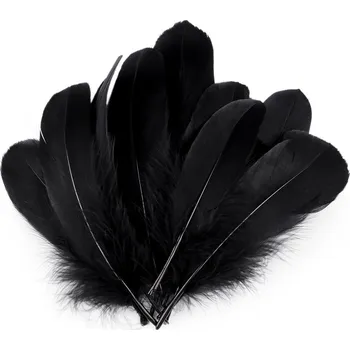 Husí peří délka 14-18 cm, barva 18 černá