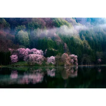 Plakát Plakát, Obraz - In The Morning Mist, Takeshi Mitamura