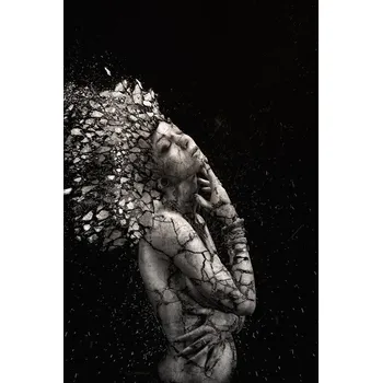 Plakát Plakát, Obraz - The Fragile Squaw, Alexandre	Brouzes