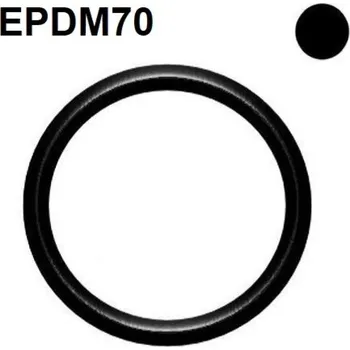 RC náhradní díl DICHTOMATIK O-kroužek 13,1x1,6 EPDM70 DIN3771