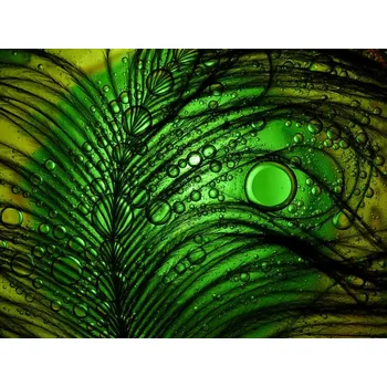 Plakát Plakát, Obraz - Feather Abstract, Ivan Lesica