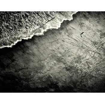 Plakát Plakát, Obraz - They Are Watching, Mirela