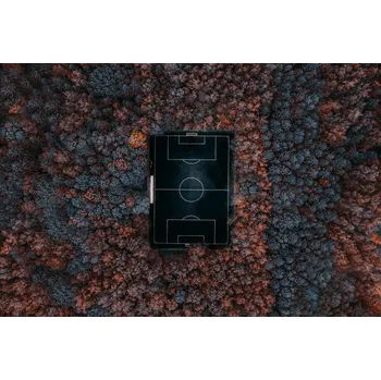 Plakát Plakát, Obraz - playing in the forest, Carmine Chiriaco