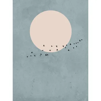 Plakát Plakát, Obraz - moonbird1, Finlay & Noa