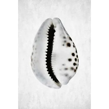 Plakát Plakát, Obraz - Spring Tide 01, Shot by Clint