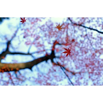 Plakát Plakát, Obraz - heirinji, Kouji	Tomihisa