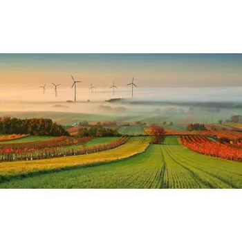 Plakát Plakát, Obraz - Autumn Atmosphere in Vineyards, Matej	Kovac