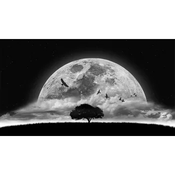 Plakát Plakát, Obraz - A Dream, NASSER OSMAN