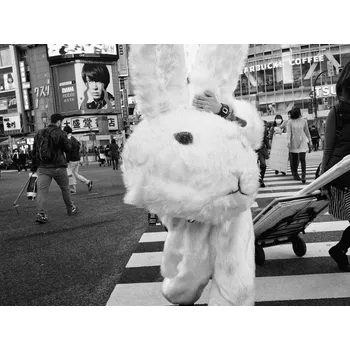 Plakát Plakát, Obraz - Untitled, Tatsuo Suzuki