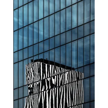 Plakát Plakát, Obraz - the zebra neighbor, Gilbert Claes