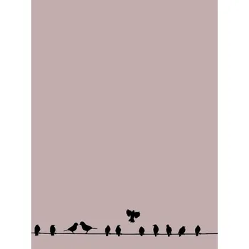 Plakát Plakát, Obraz - Birdwire, Finlay & Noa