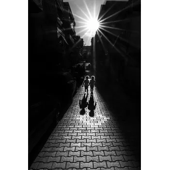 Plakát Plakát, Obraz - Twins, Yasemin Bakan