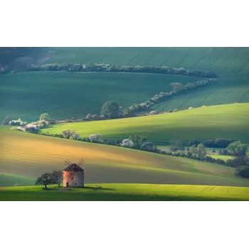 Plakát Plakát, Obraz - About forms a line's, Vlad Sokolovsky