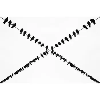 Plakát Plakát, Obraz - X, Ali Ayer