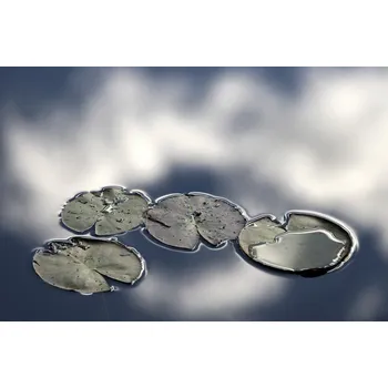 Plakát Plakát, Obraz - Four, Bror Johansson