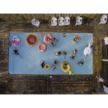 Plakát Plakát, Obraz - Hymn for the weekend, Or Adar